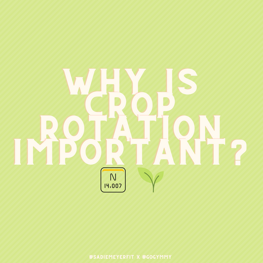 Why Is Crop Rotation Important?